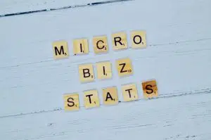 micro business statistics 2019