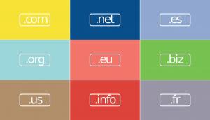 domain renewal statistics